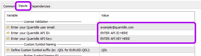 Entering API Keys in EA