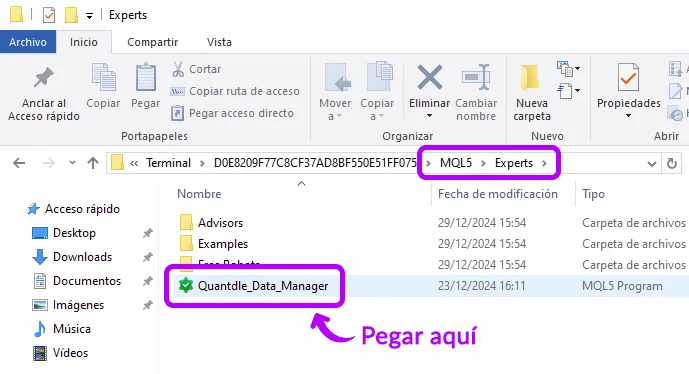 Copying Expert Advisor
